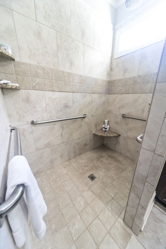 Walk-in Shower Addition